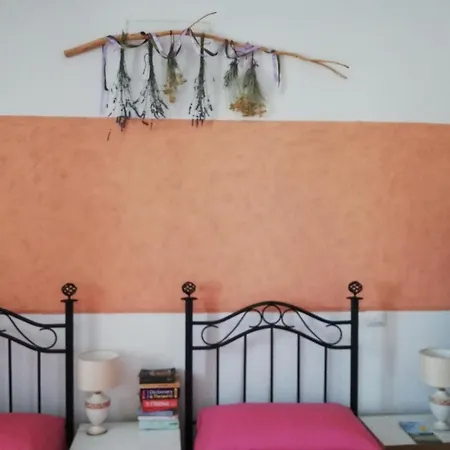 Insula -- 4*